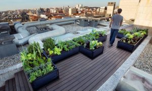 horta_03_blog-da-arquitetura